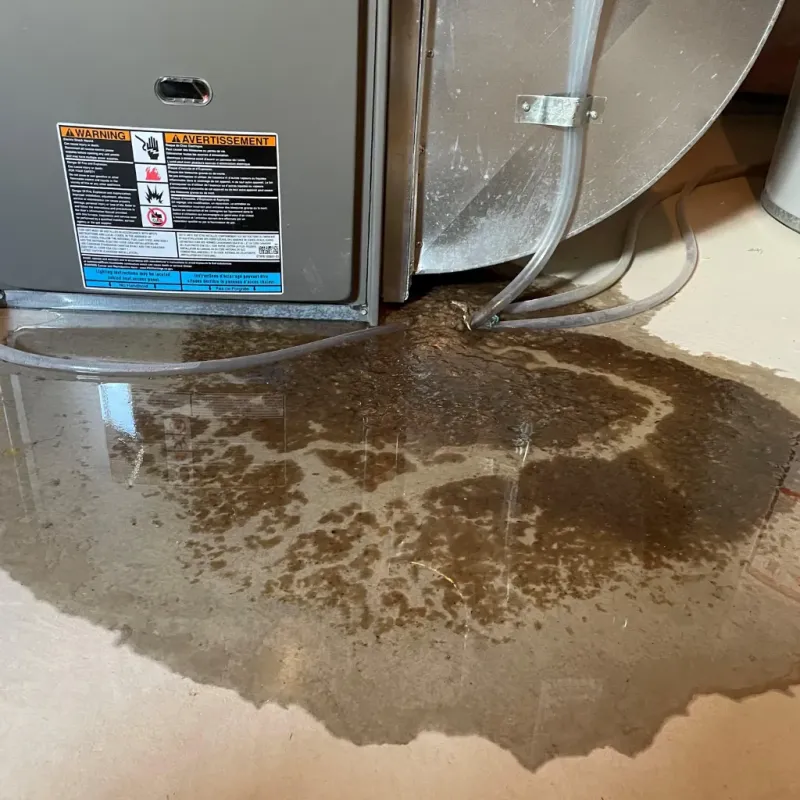 Appliance Leak Cleanup in Anniston, AL